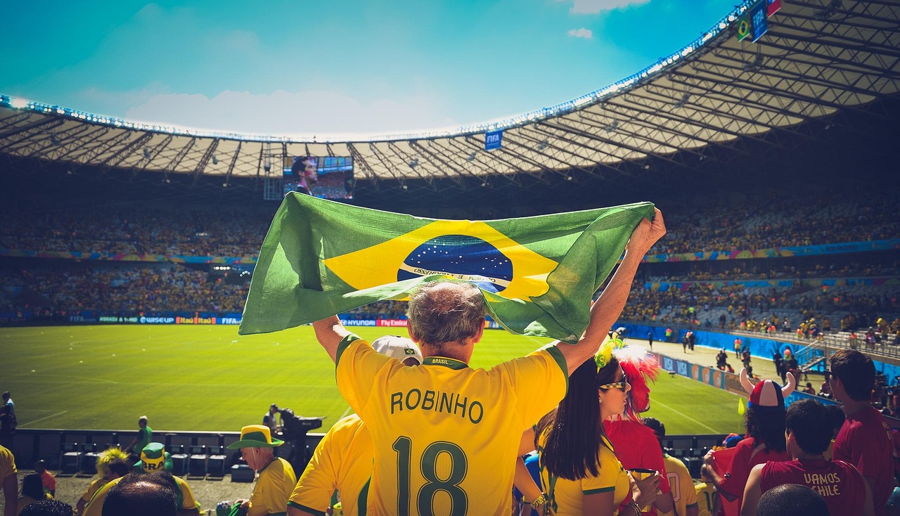 Viva a Copa: Dicas de Torcedor